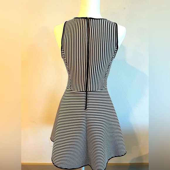 Petite Black & White Stripe Dress (Jacket & Purse NOT included) - Picture 2 of 4